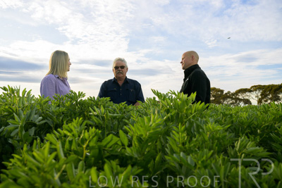 October 2022 / KANGAROO-FLAT-0385