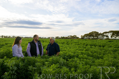 October 2022 / KANGAROO-FLAT-0388