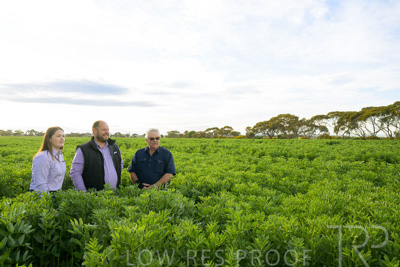 October 2022 / KANGAROO-FLAT-0394