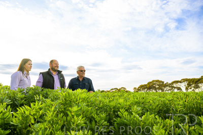 October 2022 / KANGAROO-FLAT-0396