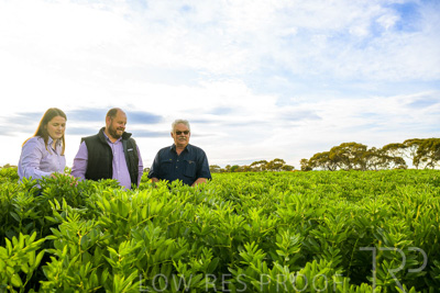 October 2022 / KANGAROO-FLAT-0399