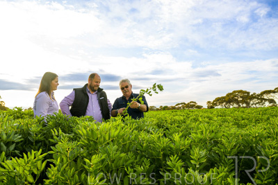 October 2022 / KANGAROO-FLAT-0401