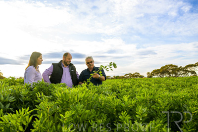 October 2022 / KANGAROO-FLAT-0402