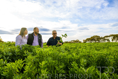 October 2022 / KANGAROO-FLAT-0404