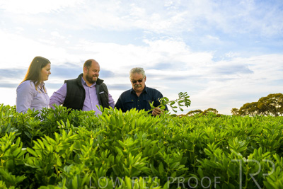 October 2022 / KANGAROO-FLAT-0406