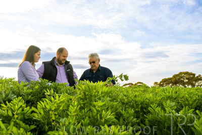 October 2022 / KANGAROO-FLAT-0409