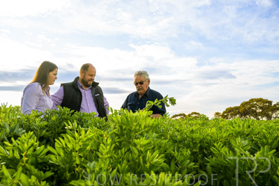 October 2022 / KANGAROO-FLAT-0410