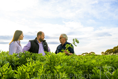 October 2022 / KANGAROO-FLAT-0411