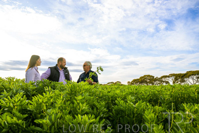 October 2022 / KANGAROO-FLAT-0412