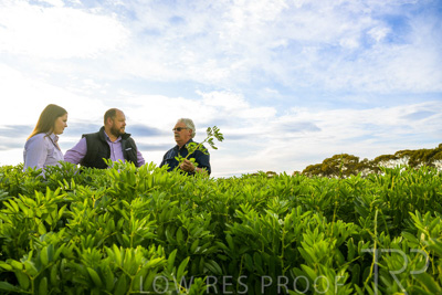 October 2022 / KANGAROO-FLAT-0414