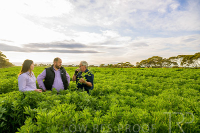 October 2022 / KANGAROO-FLAT-0417