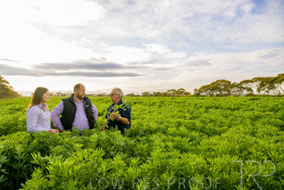 October 2022 / KANGAROO-FLAT-0418