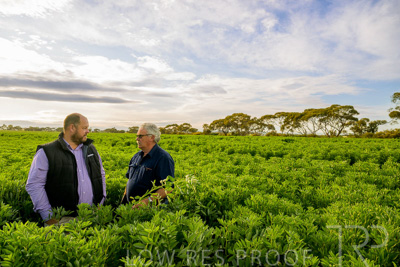 October 2022 / KANGAROO-FLAT-0420