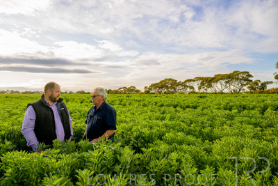 October 2022 / KANGAROO-FLAT-0421