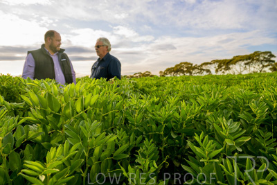 October 2022 / KANGAROO-FLAT-0422