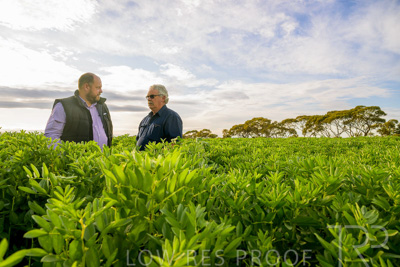 October 2022 / KANGAROO-FLAT-0424