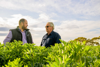 October 2022 / KANGAROO-FLAT-0430