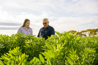 October 2022 / KANGAROO-FLAT-0436