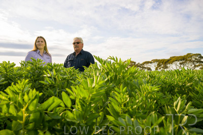 October 2022 / KANGAROO-FLAT-0442