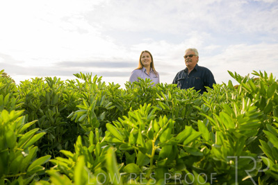 October 2022 / KANGAROO-FLAT-0446