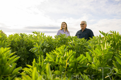 October 2022 / KANGAROO-FLAT-0447