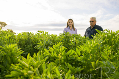 October 2022 / KANGAROO-FLAT-0452