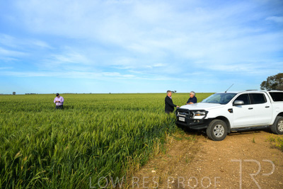 October 2022 / KANGAROO-FLAT-0465