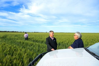 October 2022 / KANGAROO-FLAT-0467