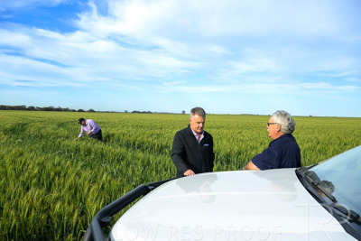 October 2022 / KANGAROO-FLAT-0469