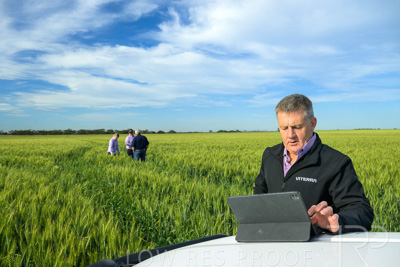 October 2022 / KANGAROO-FLAT-0471