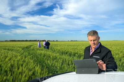 October 2022 / KANGAROO-FLAT-0472