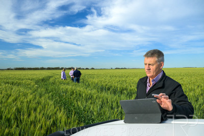 October 2022 / KANGAROO-FLAT-0473