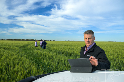 October 2022 / KANGAROO-FLAT-0475