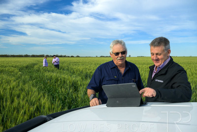 October 2022 / KANGAROO-FLAT-0480