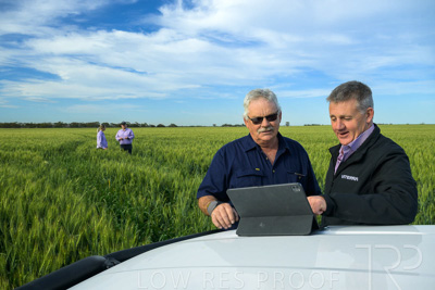 October 2022 / KANGAROO-FLAT-0482