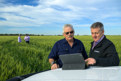 October 2022 / KANGAROO-FLAT-0484