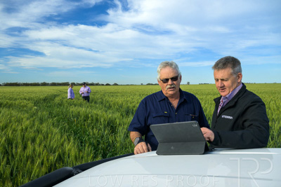 October 2022 / KANGAROO-FLAT-0485