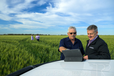 October 2022 / KANGAROO-FLAT-0488