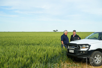 October 2022 / KANGAROO-FLAT-0501