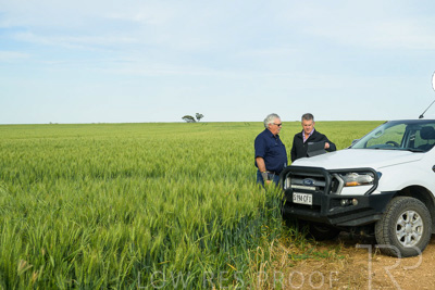 October 2022 / KANGAROO-FLAT-0503