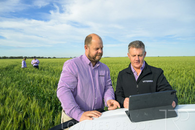 October 2022 / KANGAROO-FLAT-0512