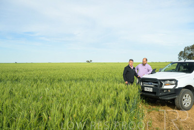 October 2022 / KANGAROO-FLAT-0515