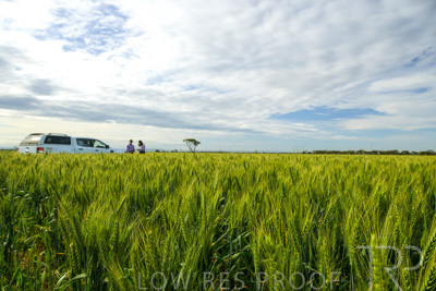 October 2022 / KANGAROO-FLAT-0519