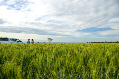 October 2022 / KANGAROO-FLAT-0522