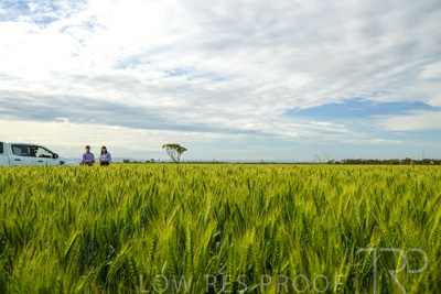 October 2022 / KANGAROO-FLAT-0523