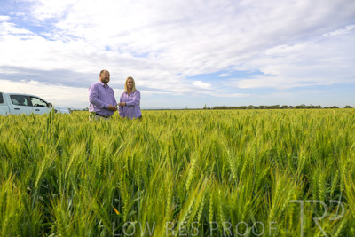 October 2022 / KANGAROO-FLAT-0533