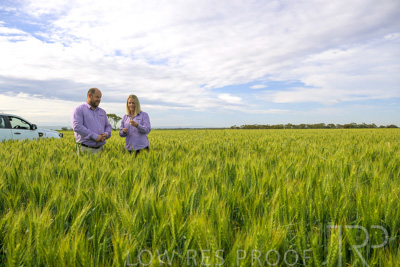 October 2022 / KANGAROO-FLAT-0536