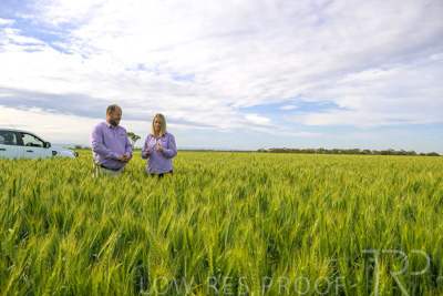 October 2022 / KANGAROO-FLAT-0540