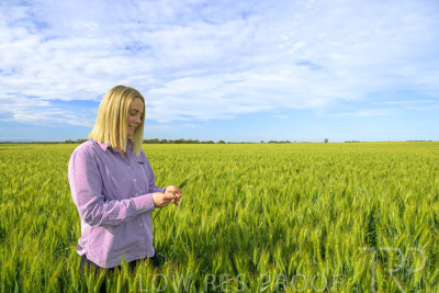 October 2022 / KANGAROO-FLAT-0543