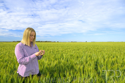 October 2022 / KANGAROO-FLAT-0547